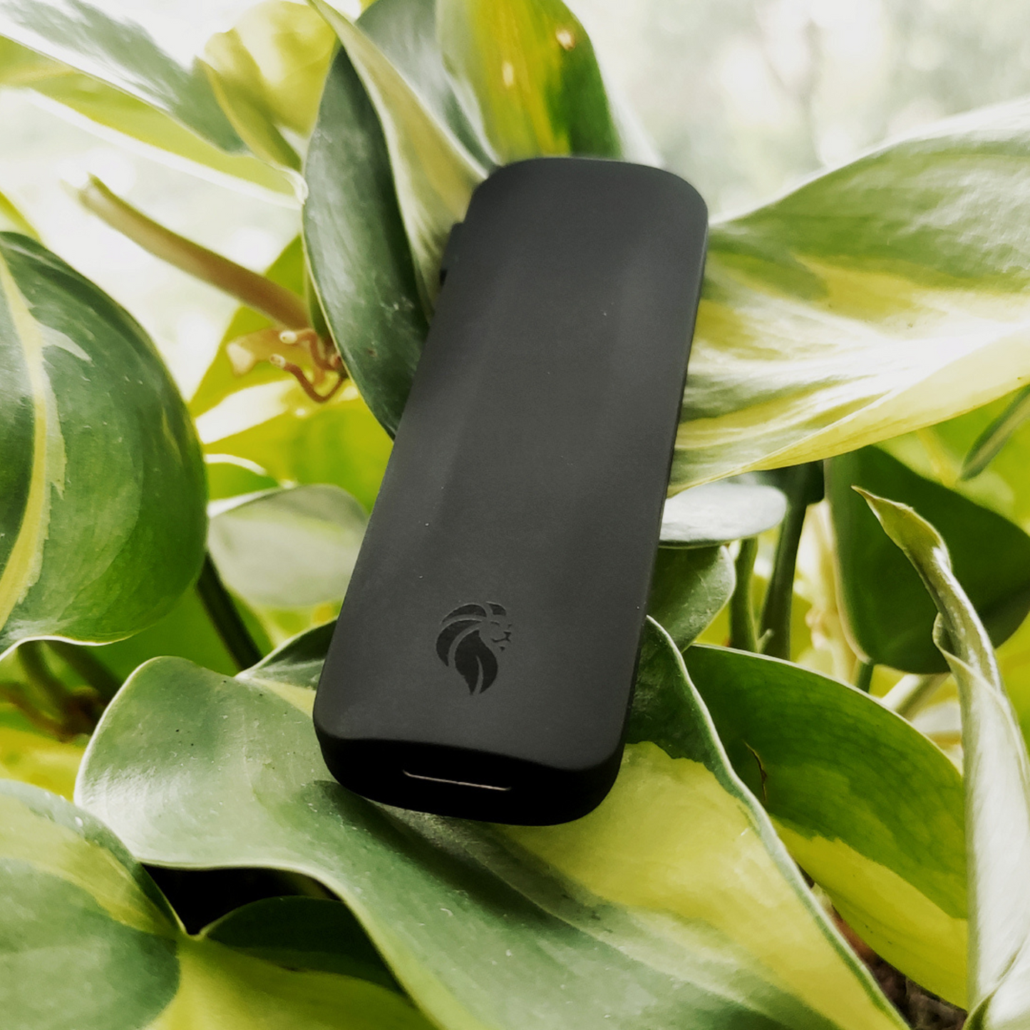 Leo: The Battery Life Extender